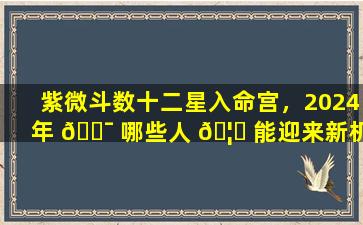 紫微斗数十二星入命宫，2024年 🐯 哪些人 🦟 能迎来新机遇
